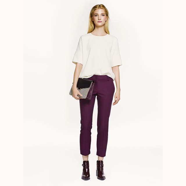 Elegant Pant