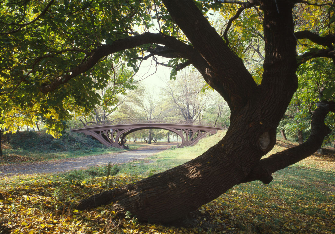 Central_Park_New_York_City_New_York_23_cropped
