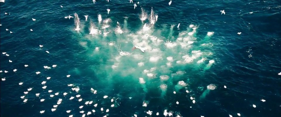 Splash