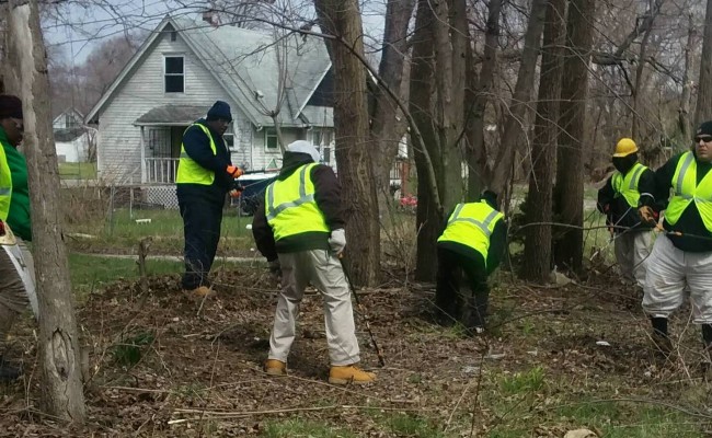 More trees to line Detroit streets thanks to The Greening of Detroit and volunteers