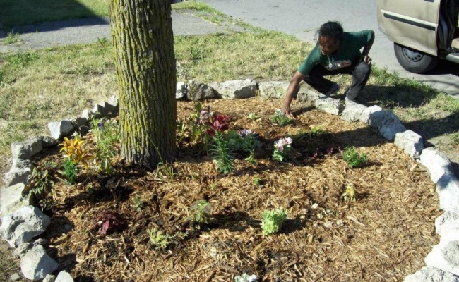 There’s power in flowers … free blooms are available to Detroit residents