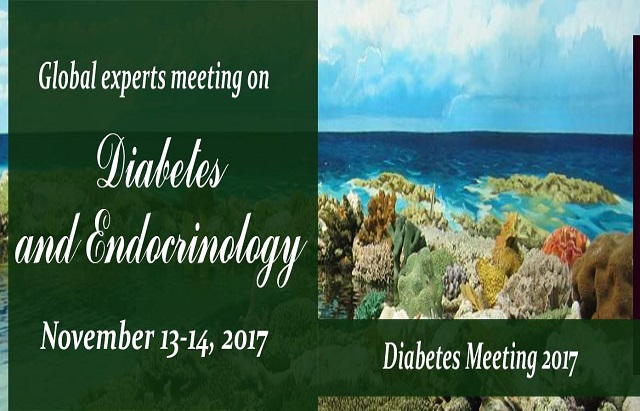 Diabetes-Meeting-2017_MI-Banner-2