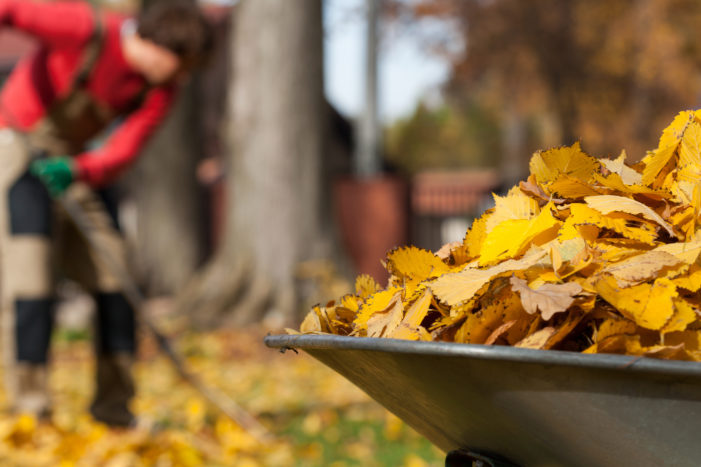 Detroiters: Street sweepers need your help to combat falling leaves