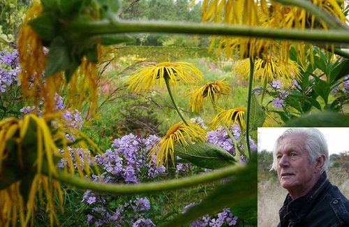 Rock star designer Piet Oudolf to share his master plan for Belle Isle public garden
