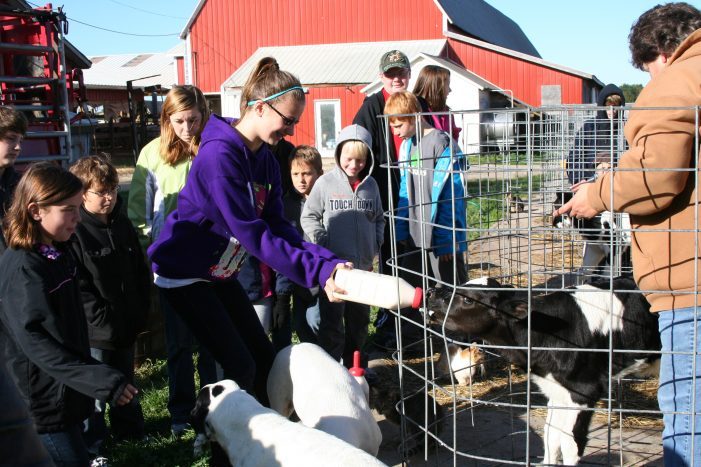 Six Farm Tours to Do This Fall