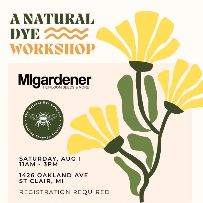 A Natural Dye Workshop ~ Marigolds & Shibori at MIgardener A Natural Dye Workshop ~ Marigolds & Shibori at MIgardener